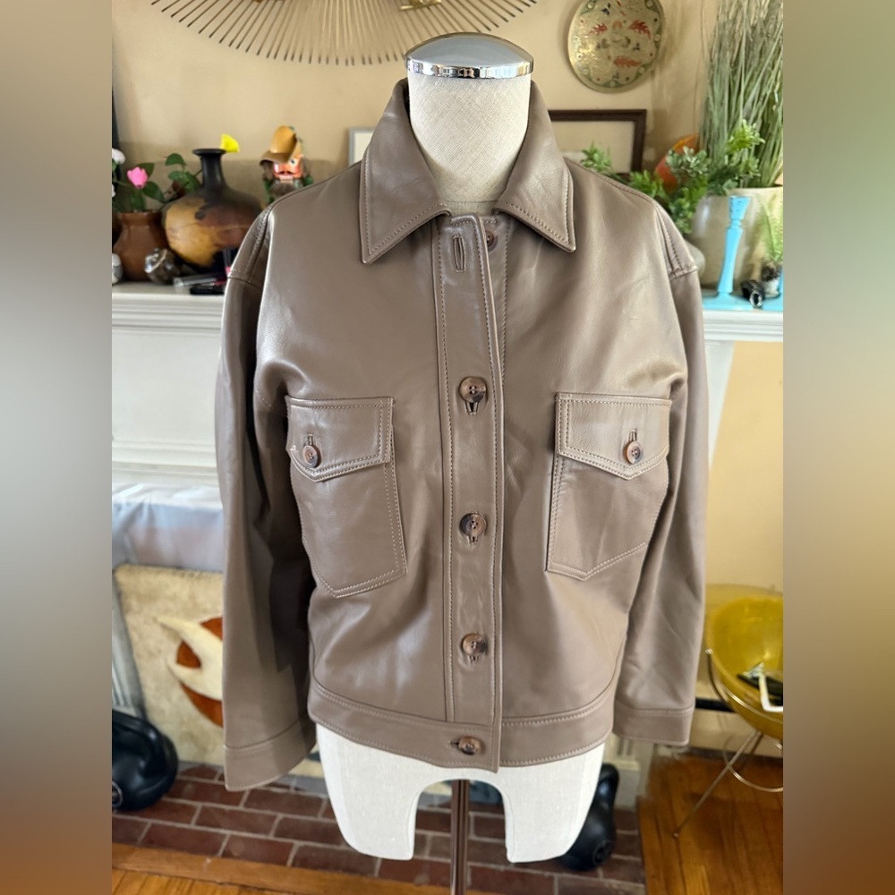 Quince 100% Leather Cropped Jacket / Woodstock / S